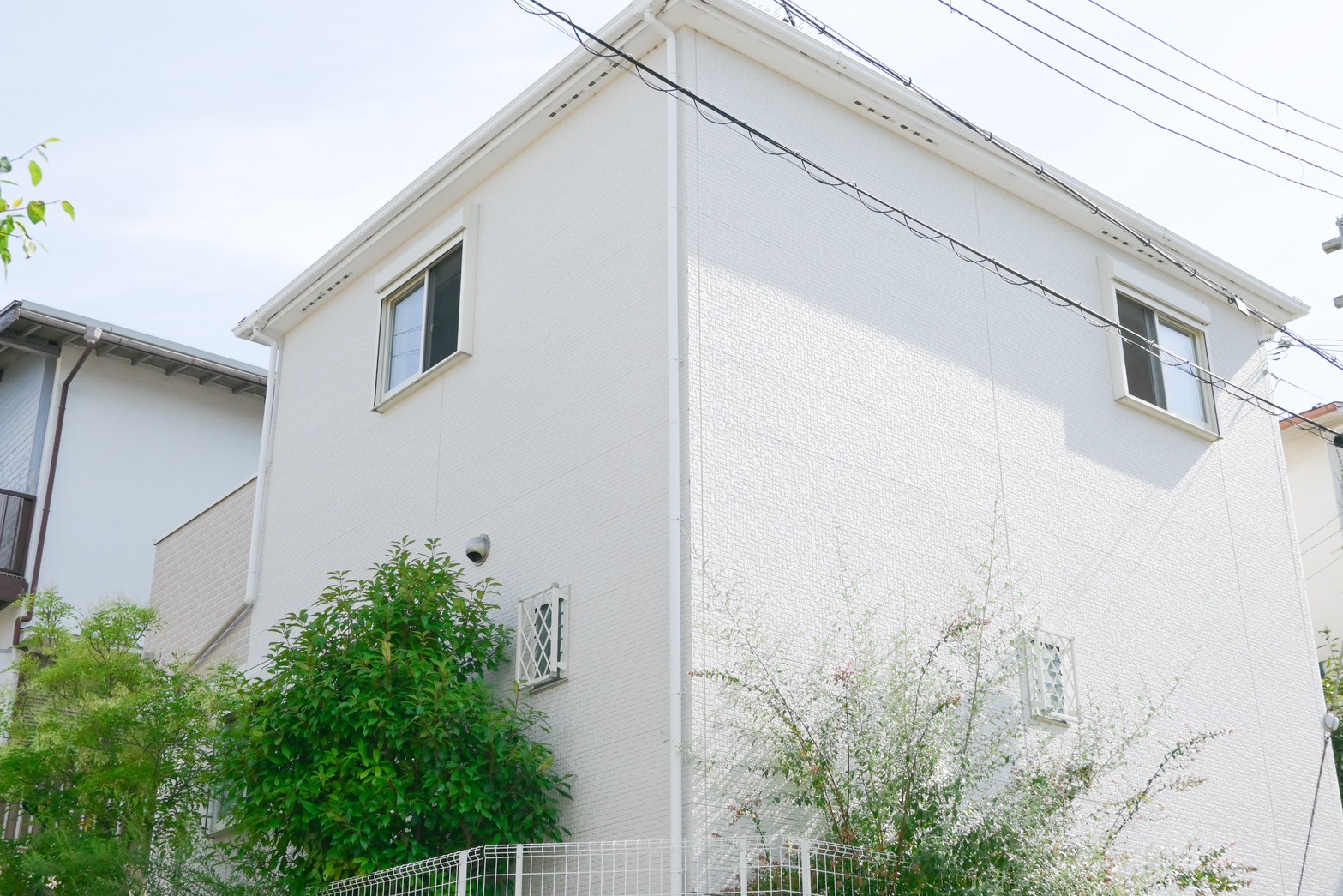 満開の桜の下、帰路につく家。